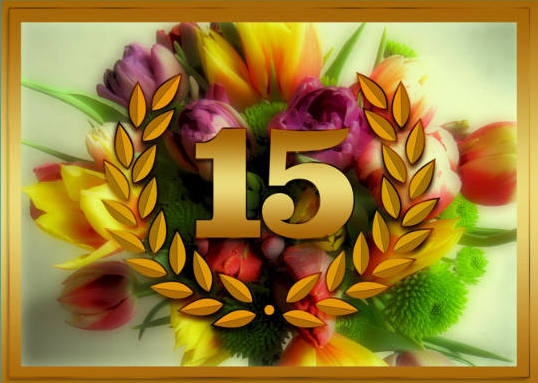 15 Anniversary