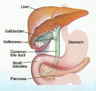 Dr. Gandhi's Nursing Home Pvt. Ltd.